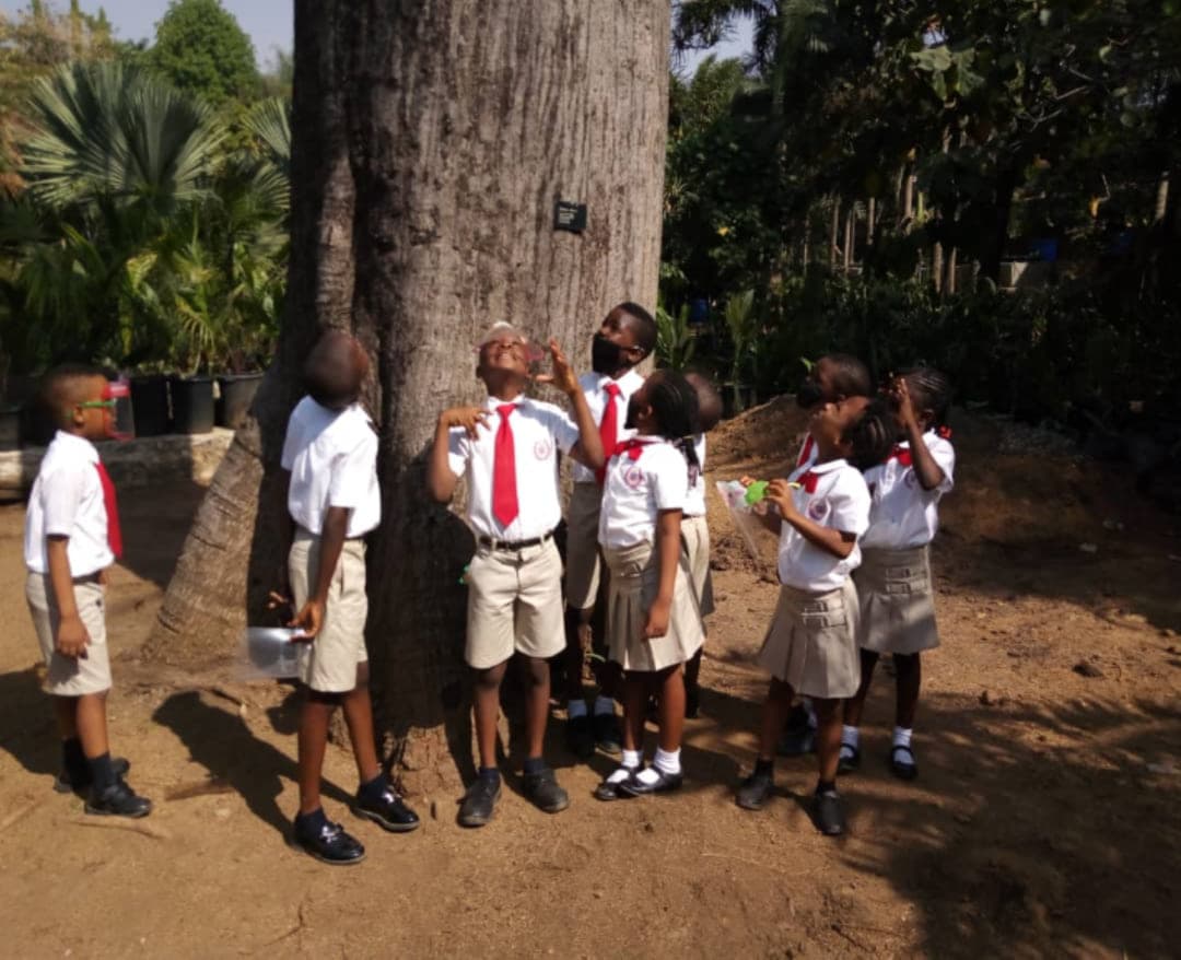 A class gathered around an old tree on a visit to the park