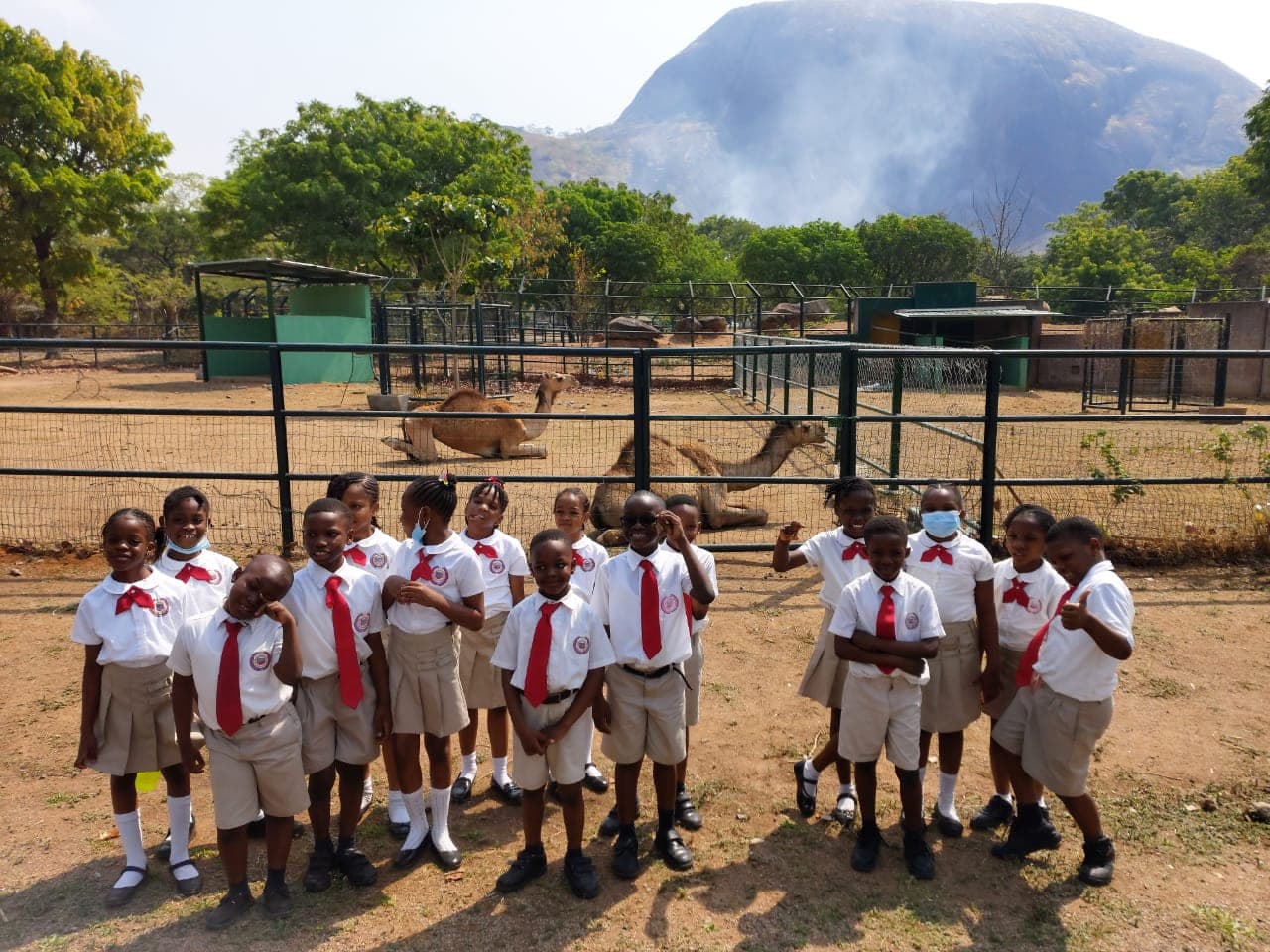 Pupils at the fence of an animal enclosure, the hills rising behind